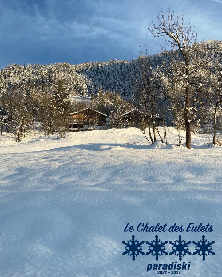Le Chalet Des Eulets Bourg-Saint-Maurice Exteriér fotografie