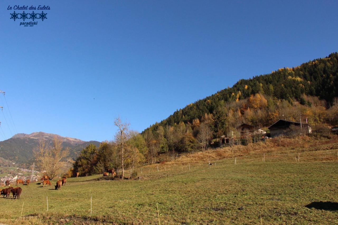 Le Chalet Des Eulets Bourg-Saint-Maurice Exteriér fotografie