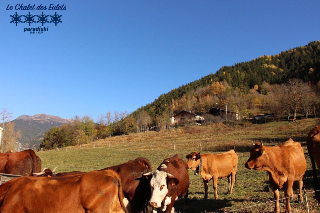 Le Chalet Des Eulets Bourg-Saint-Maurice Exteriér fotografie