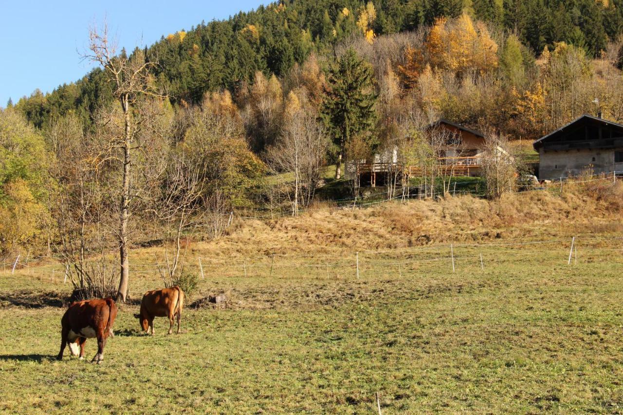 Le Chalet Des Eulets Bourg-Saint-Maurice Exteriér fotografie